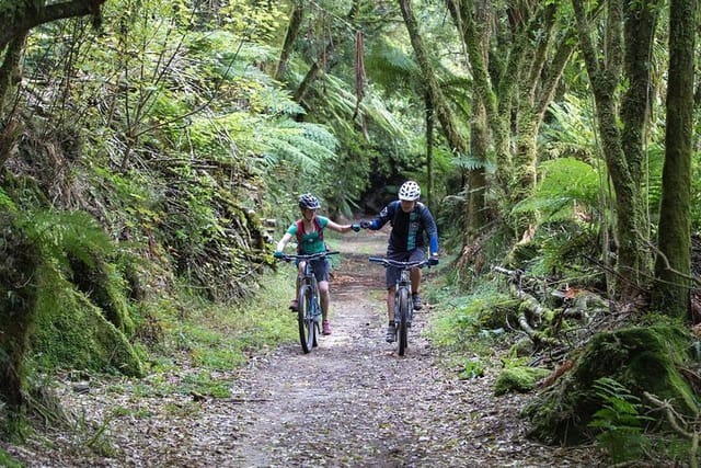 You'll love riding the Timber Trail